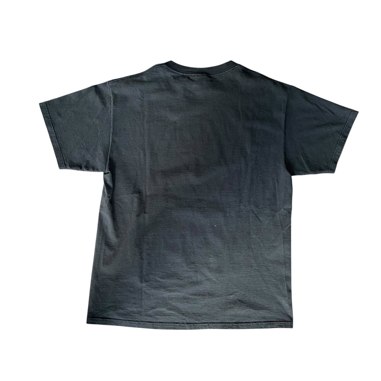 Vintage Lee Sport Green Bay Packers Black Graphic T-Shirt