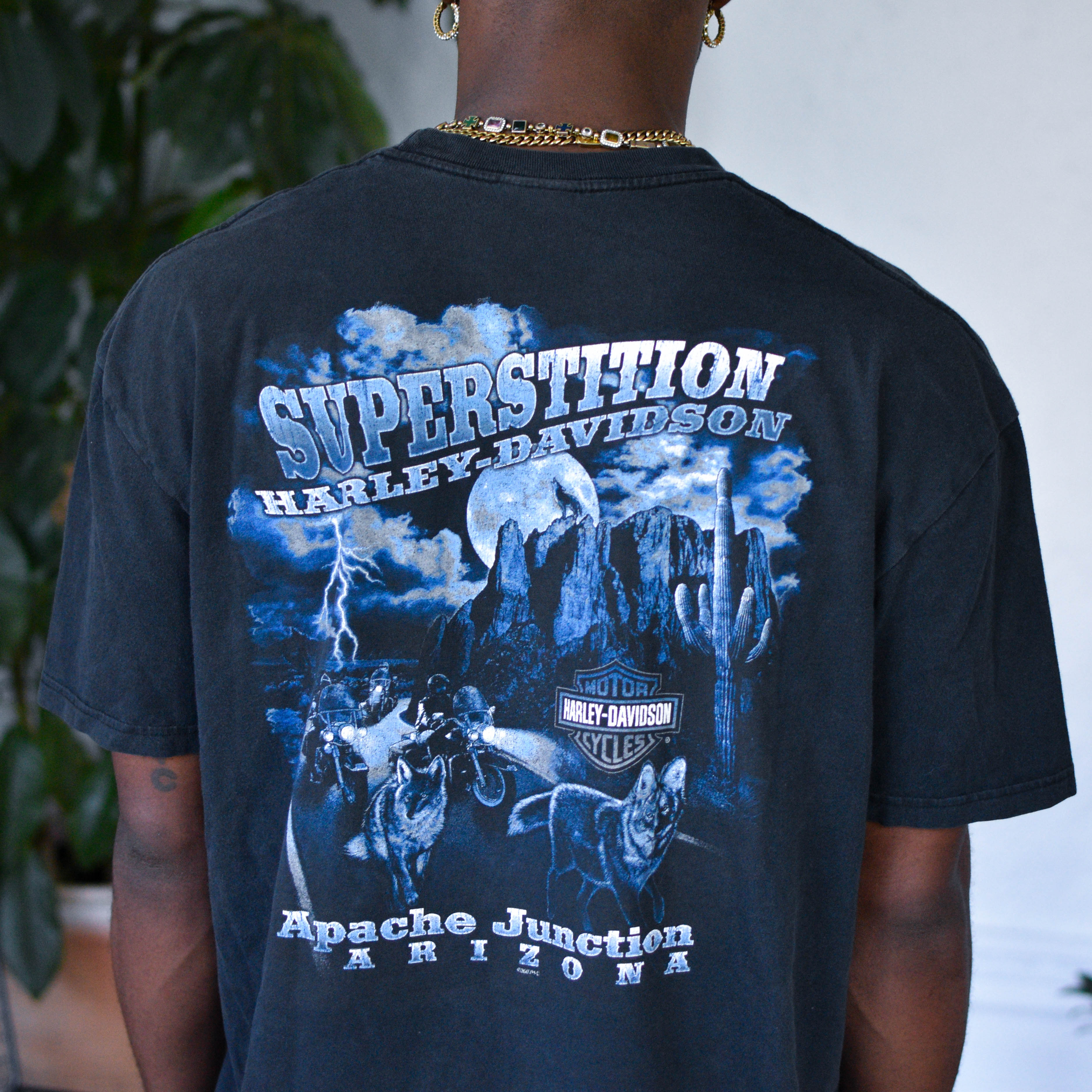Vintage 2010 Harley Davidson Apache Junction Graphic T-Shirt