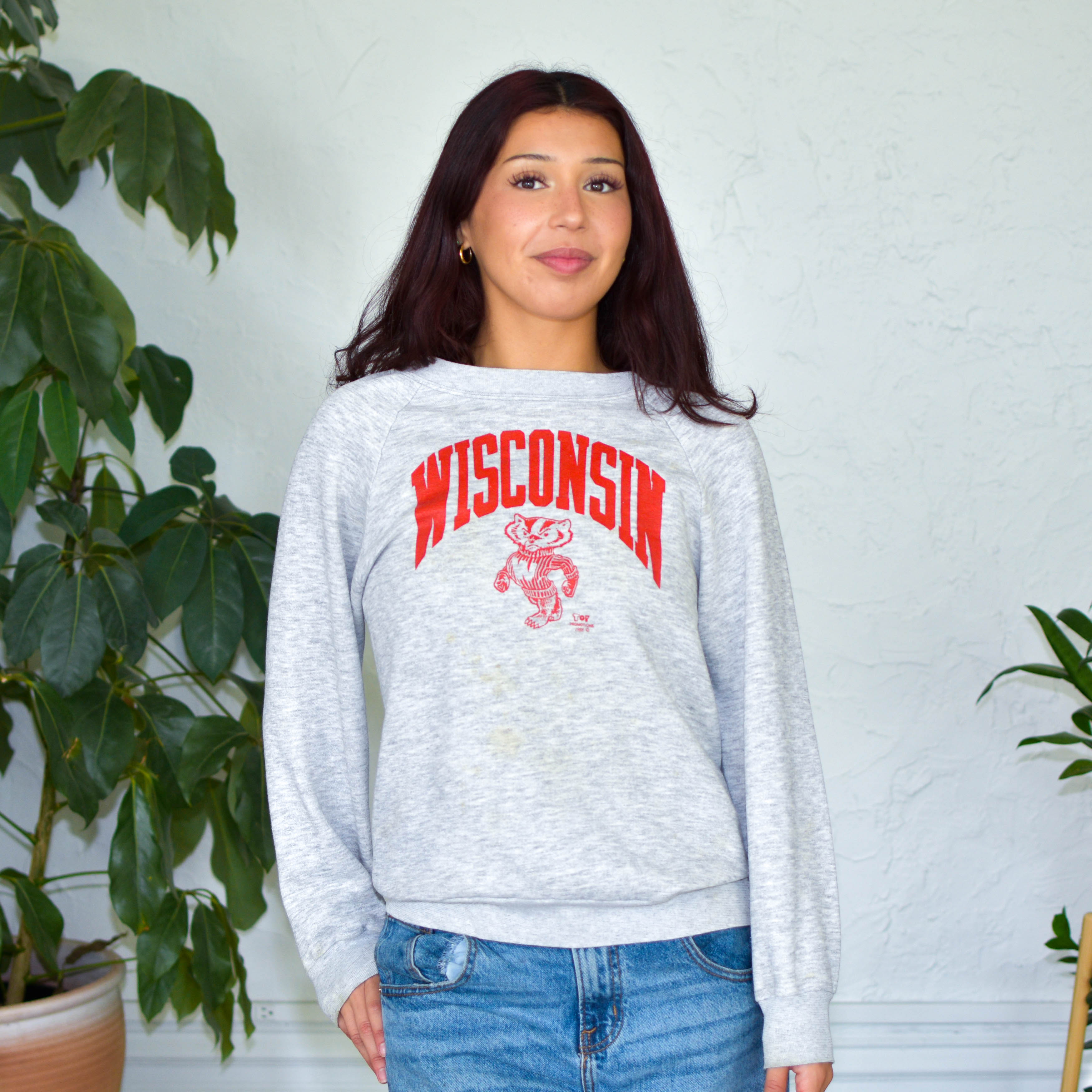 Vintage 80s University of Wisconsin Sweatshirt