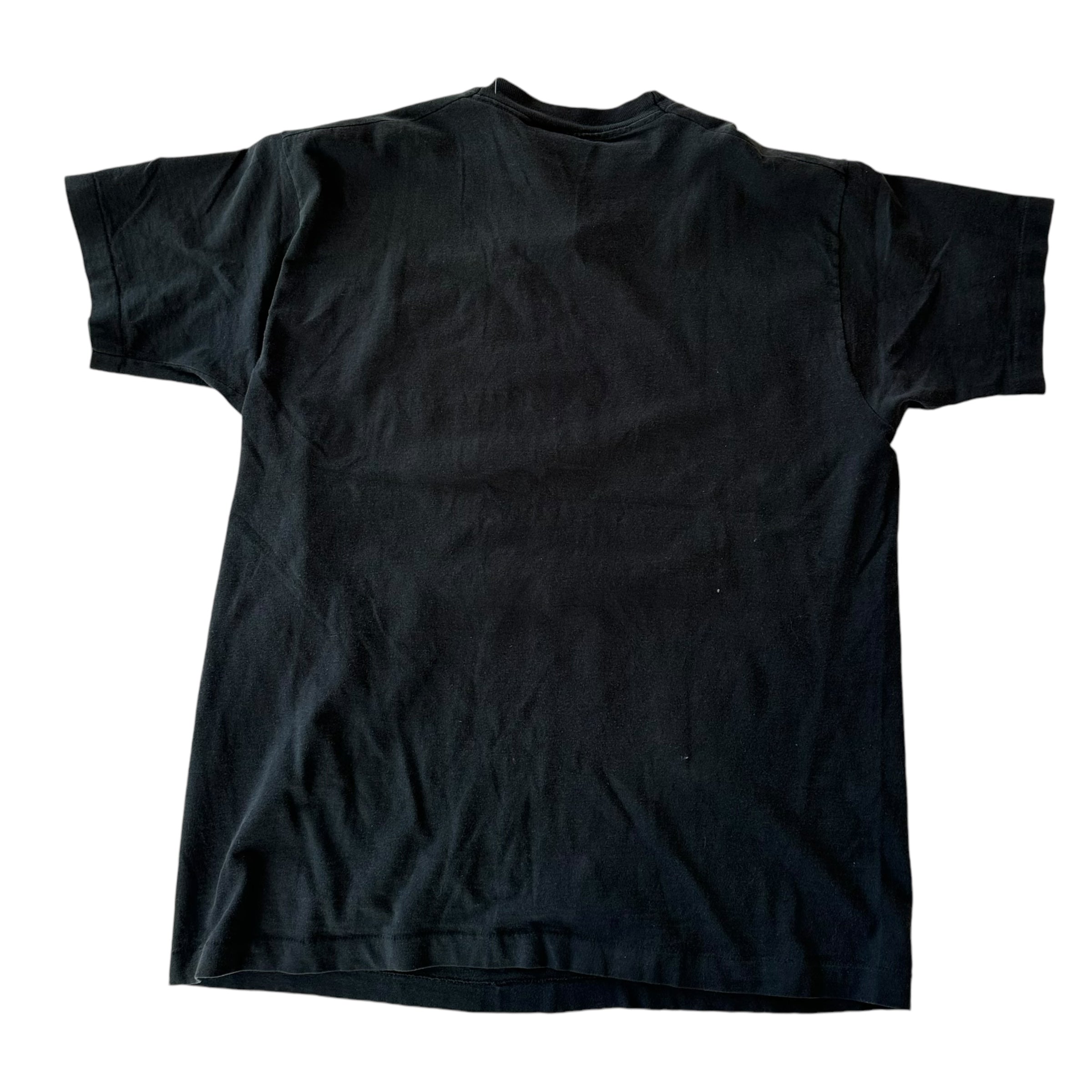 Vintage 1993 Carolina Panthers T-shirt
