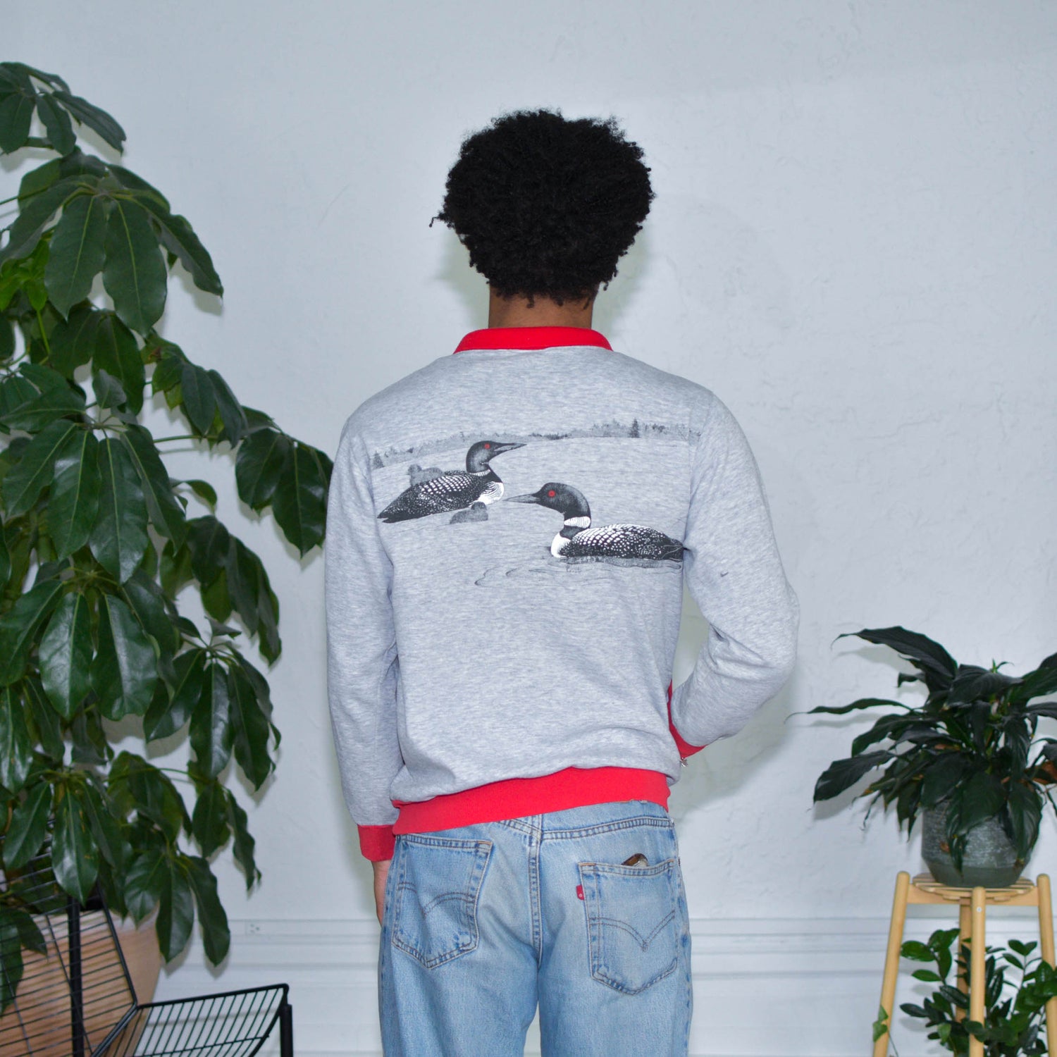 Vintage Loon Graphic Red Trim Collared Crewneck