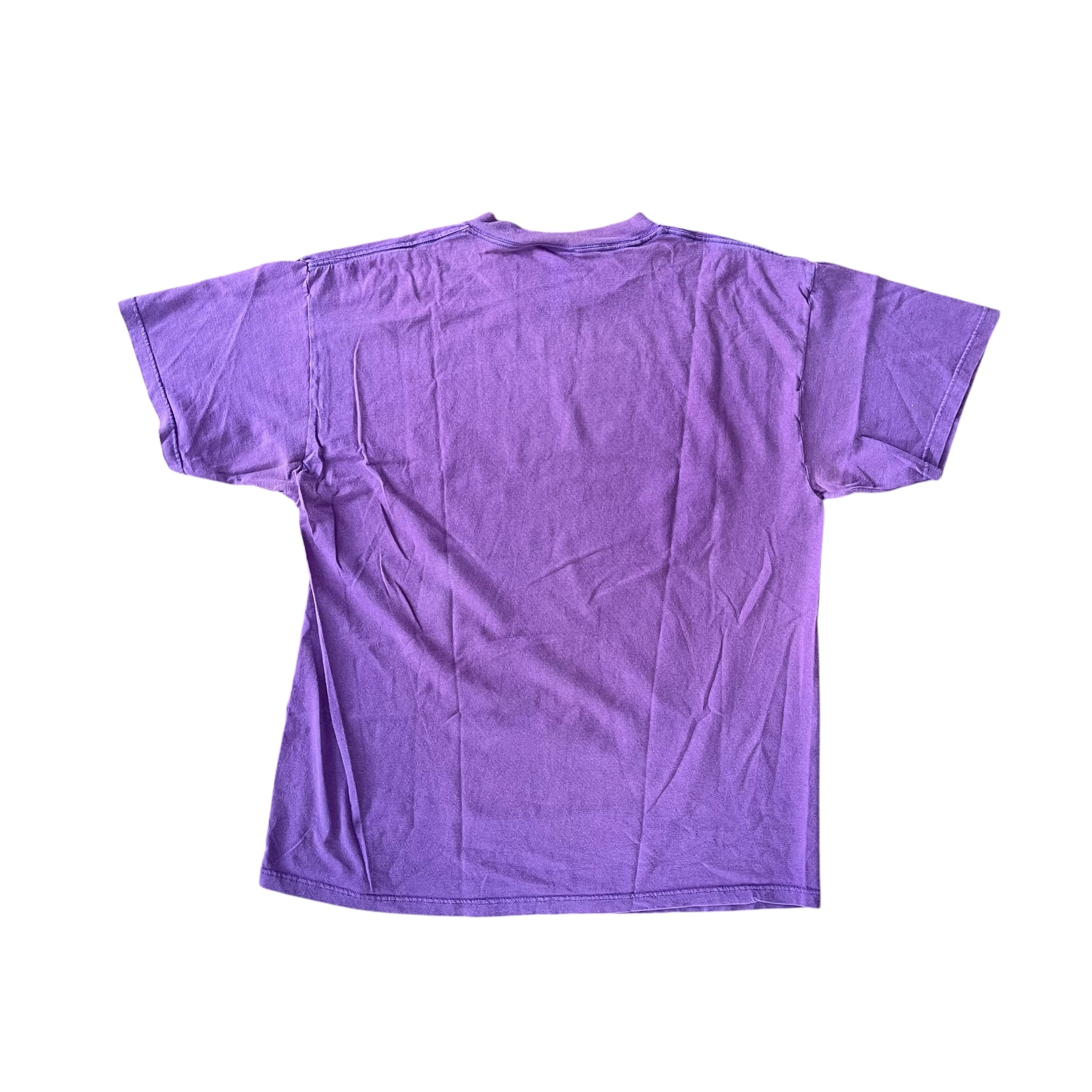 Vintage 1998 Minnesota Vikings Central Division Champions Purple T-Shirt