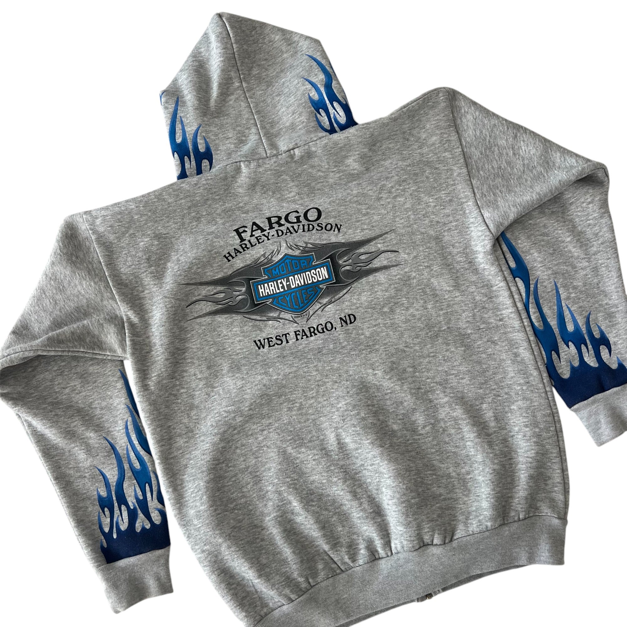 2006 Harley Davidson Blue Flame Zip Up