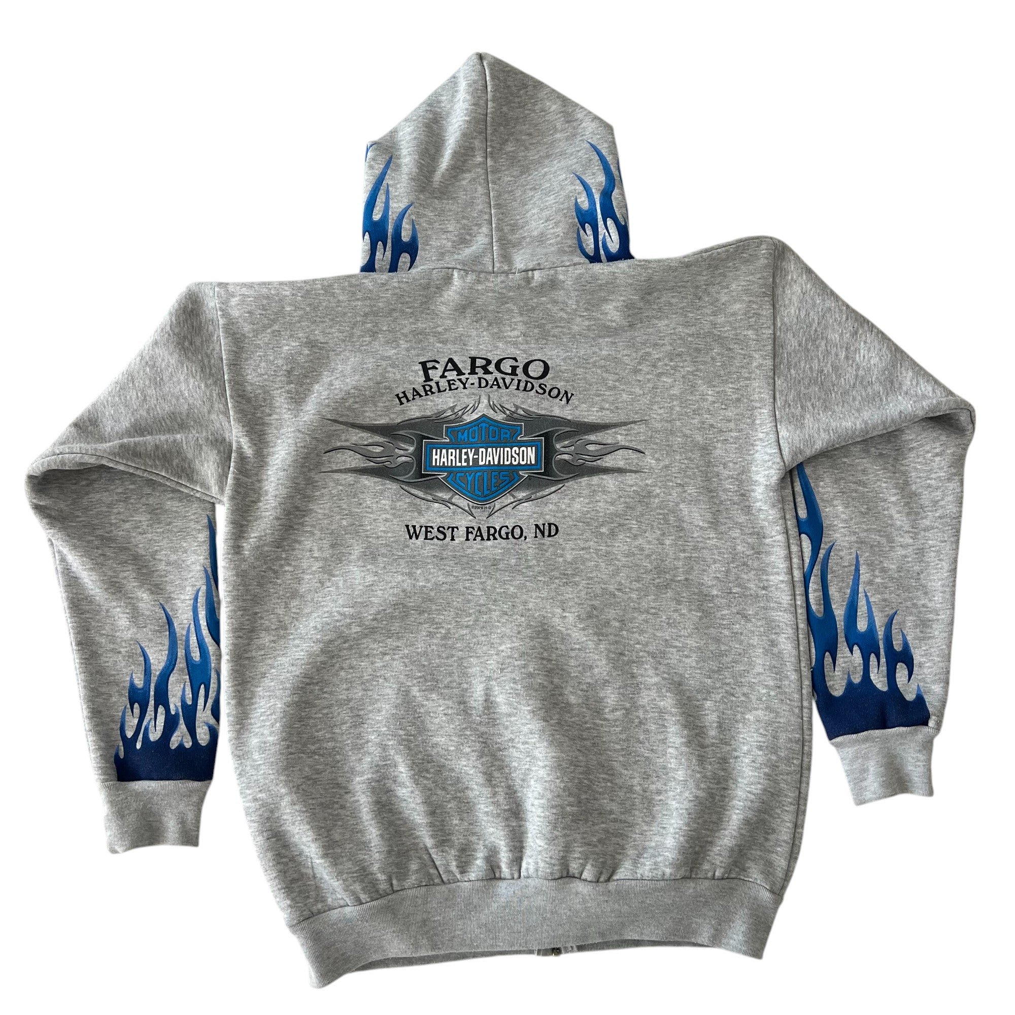 2006 Harley Davidson Blue Flame Zip Up