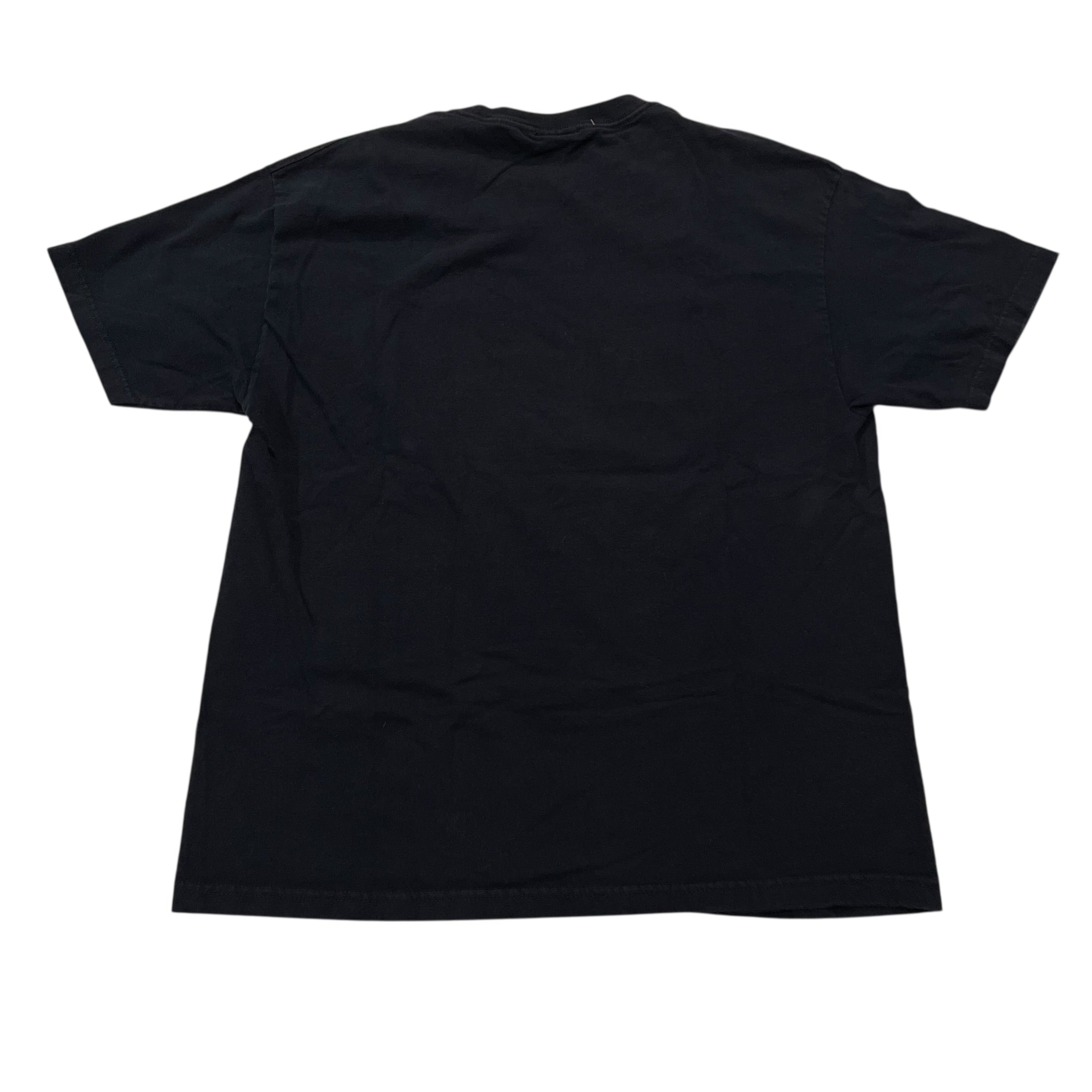 Vintage 2004 Minnesota Twins Graphic T-Shirt