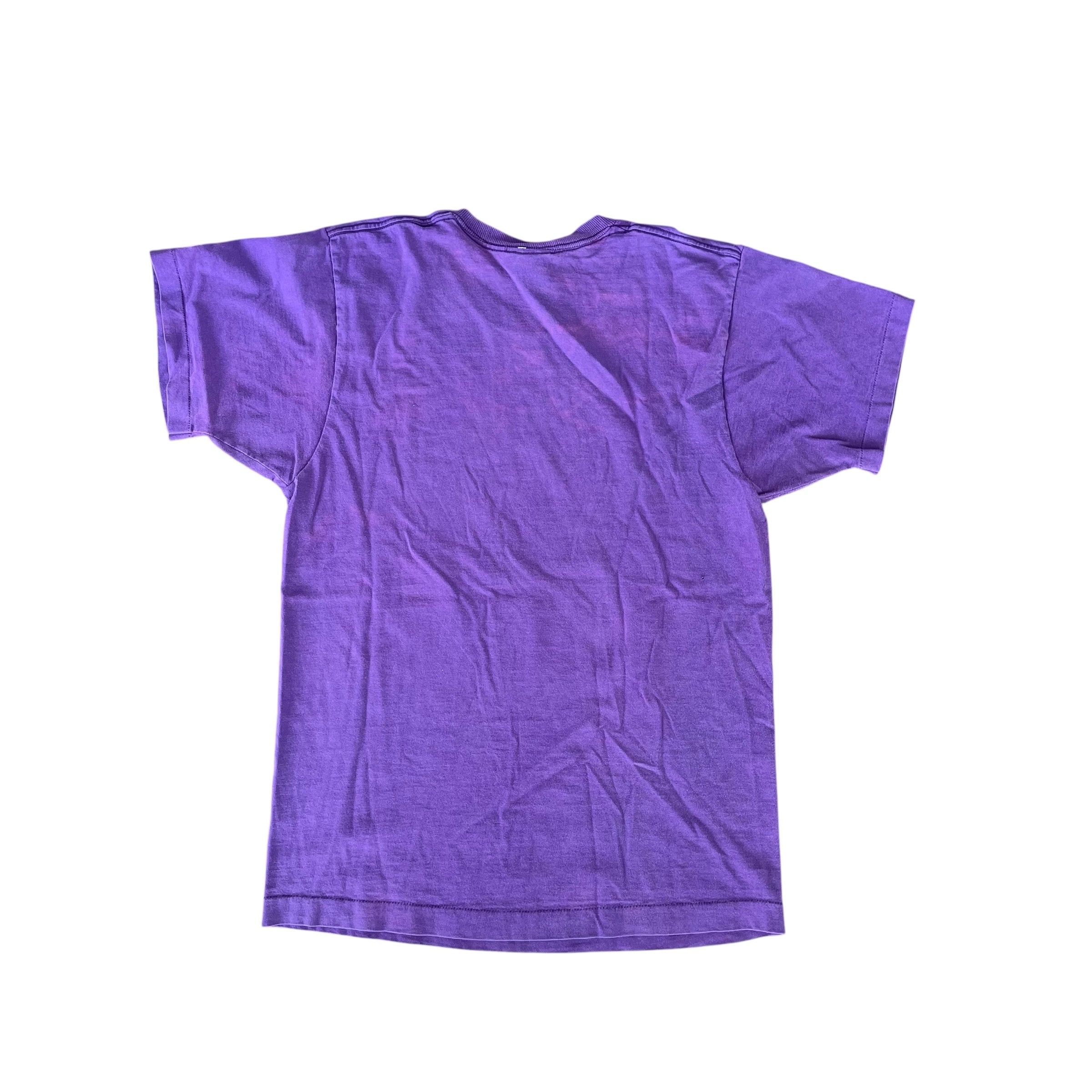 Vintage Minnesota Vikings Pro Player Graphic T-Shirt