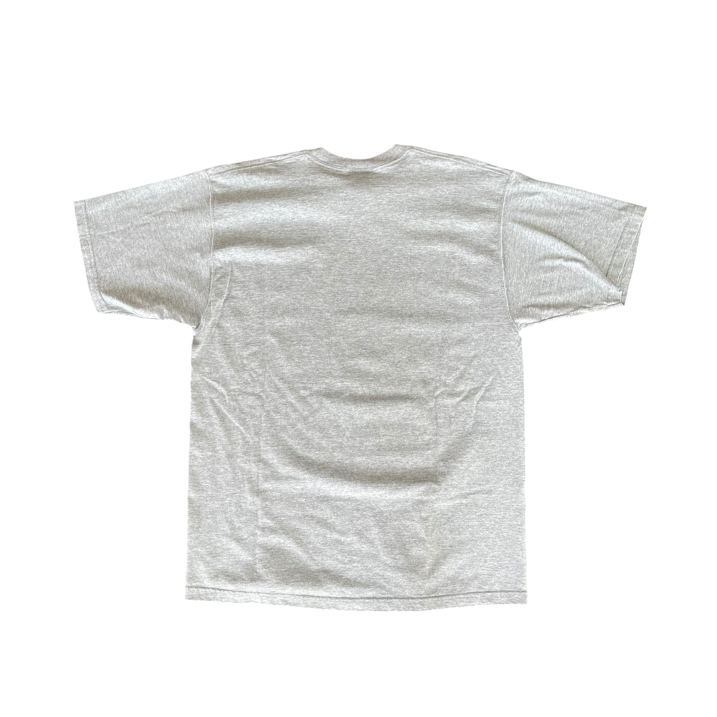 Vintage Pro Player Atlanta Falcons Gray T-Shirt