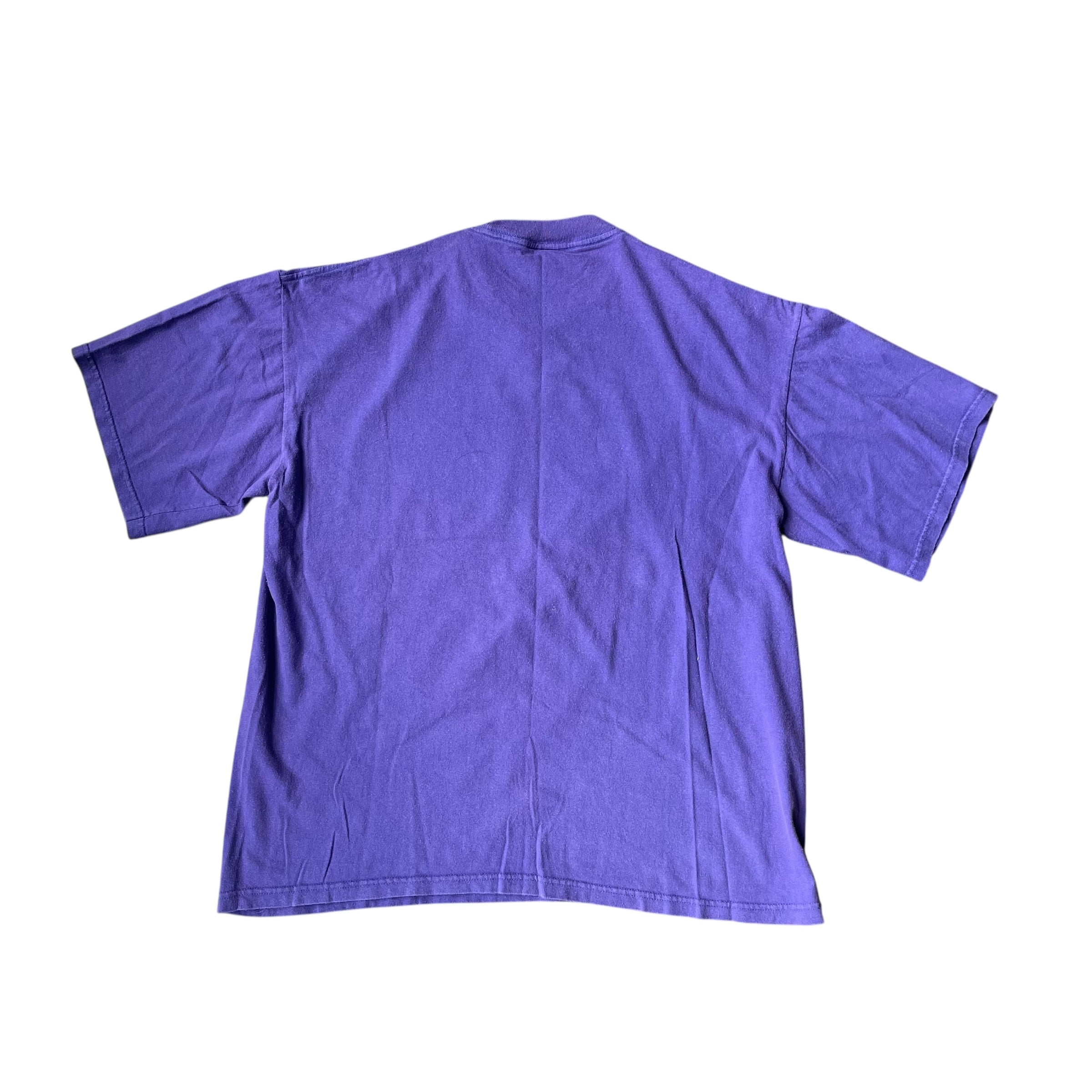 Vintage 1999 Minnesota Vikings Purple Graphic T-Shirt