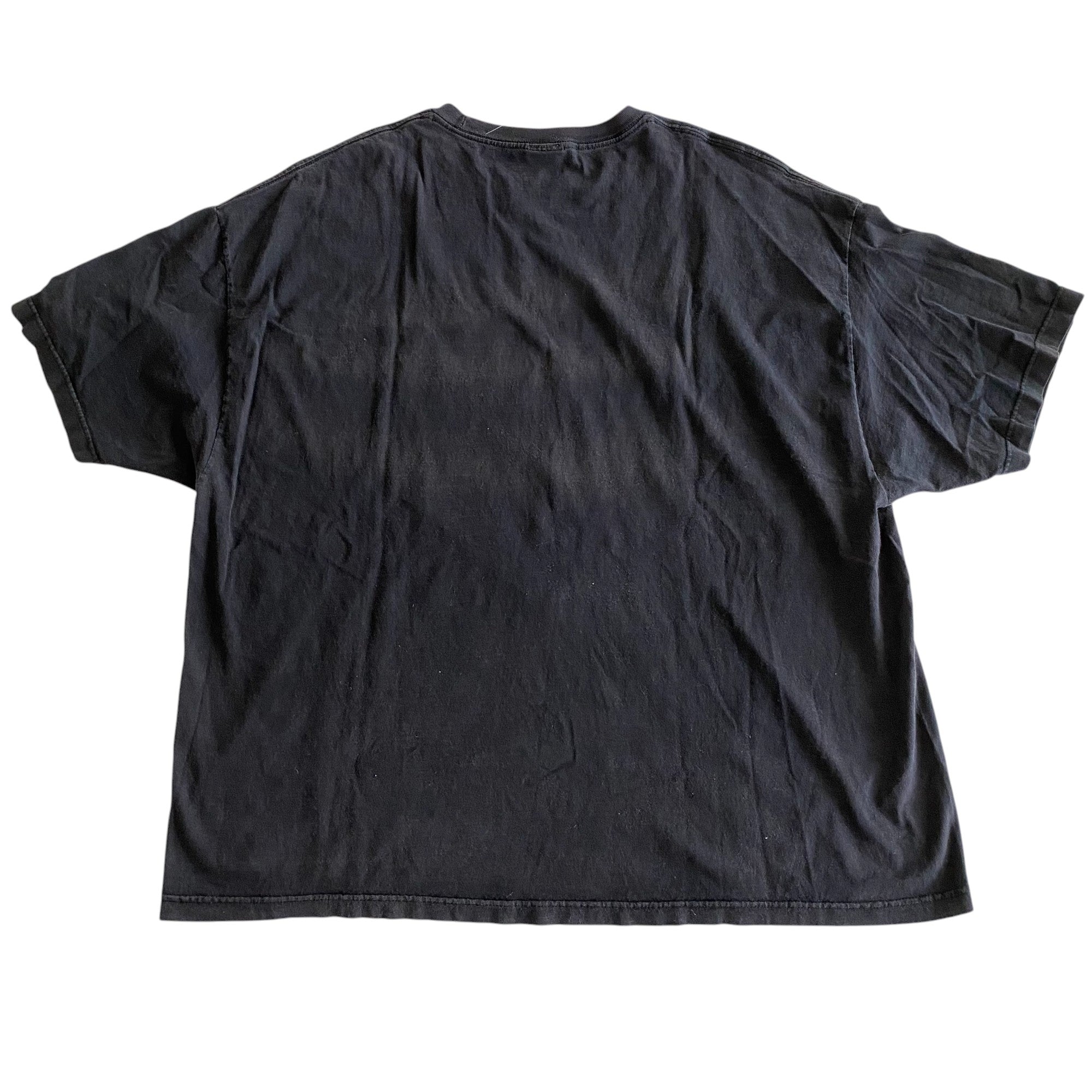 2004 Chicago Cubs Cub Graphic T-Shirt