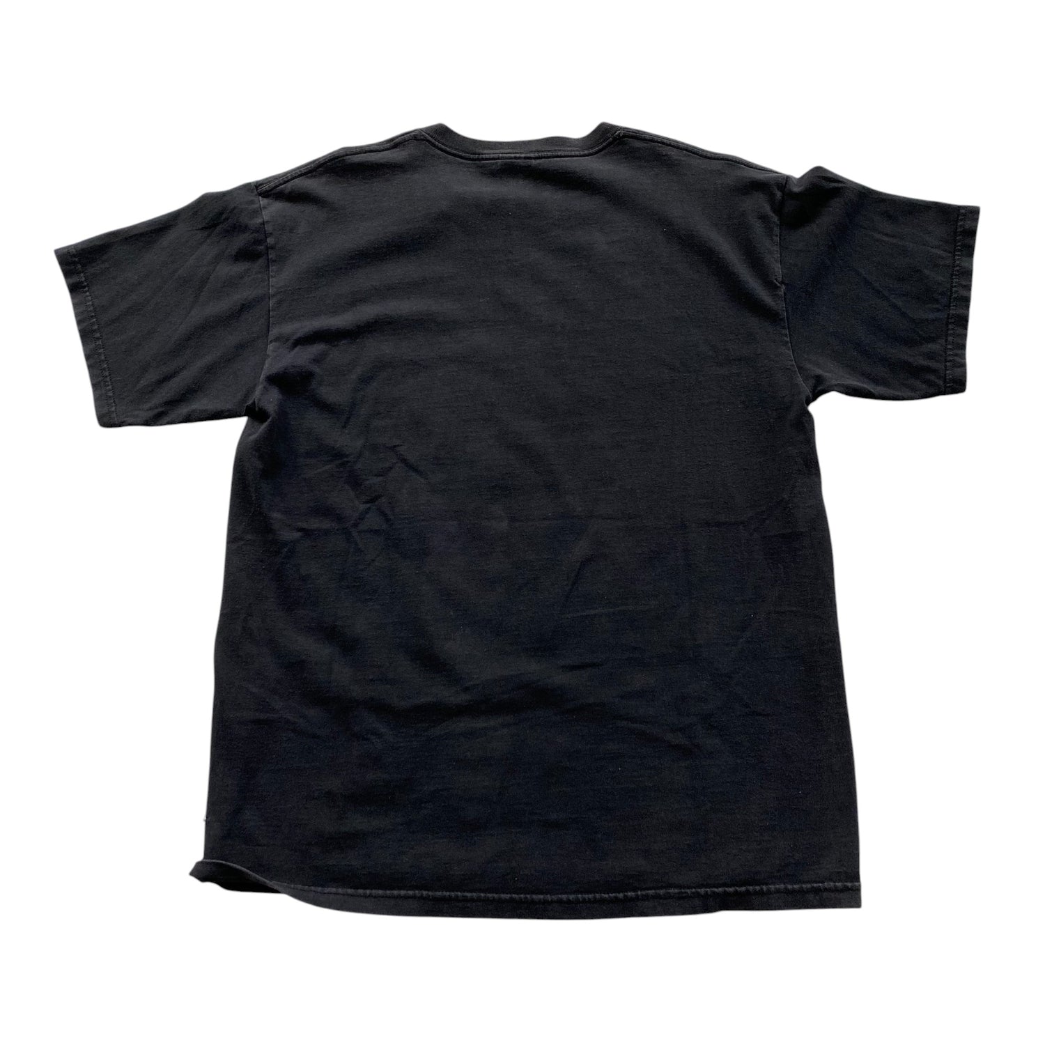 Vintage Ludacris "Stand Up" Promo T-Shirt