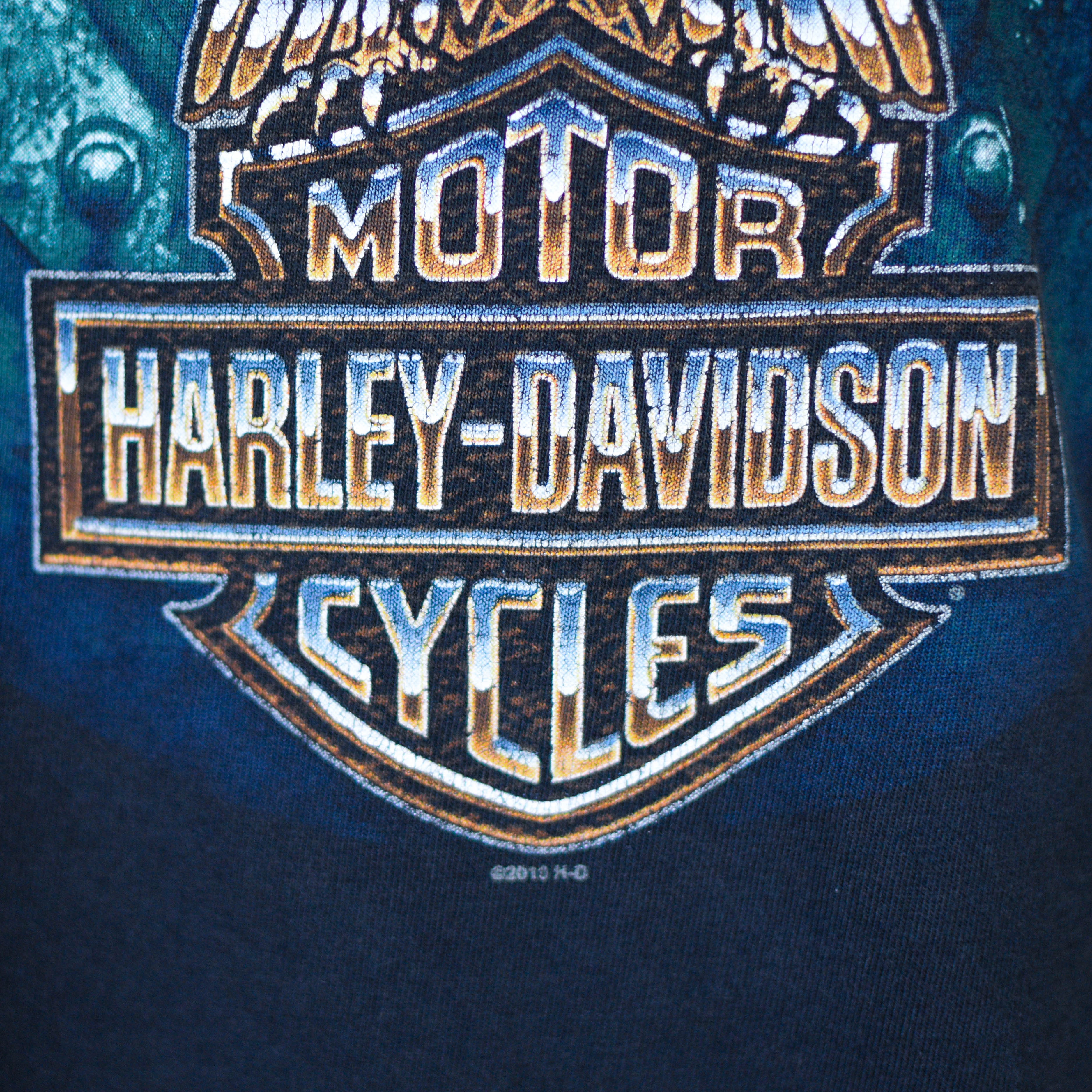 Vintage 2010 Harley Davidson Apache Junction Graphic T-Shirt