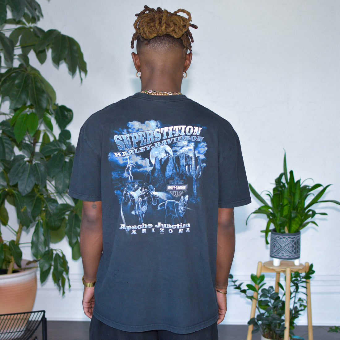 Vintage 2010 Harley Davidson Apache Junction Graphic T-Shirt