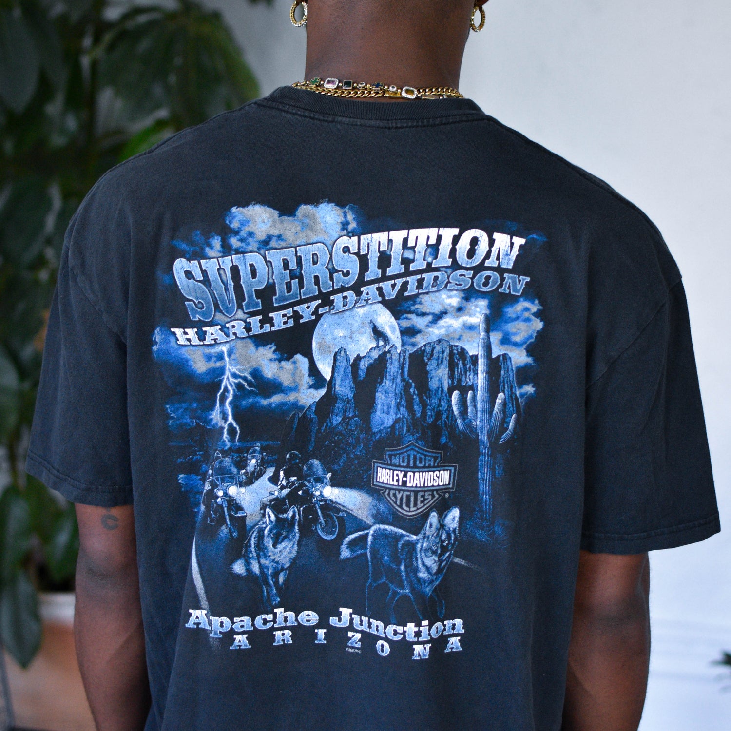 Vintage 2010 Harley Davidson Apache Junction Graphic T-Shirt