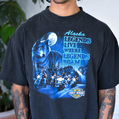 Vintage 1995 Harley Davidson Alaska Legends Graphic T-Shirt