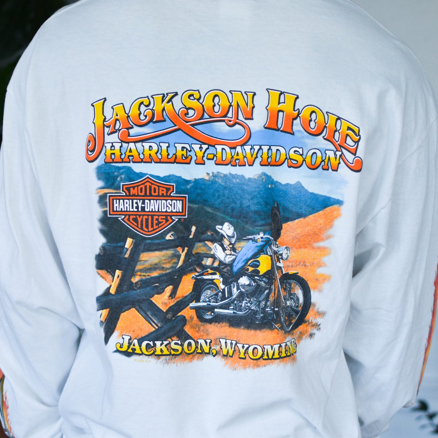 Vintage 2005 Harley Davidson Jackson Hole Long-sleeve Graphic T-Shirt