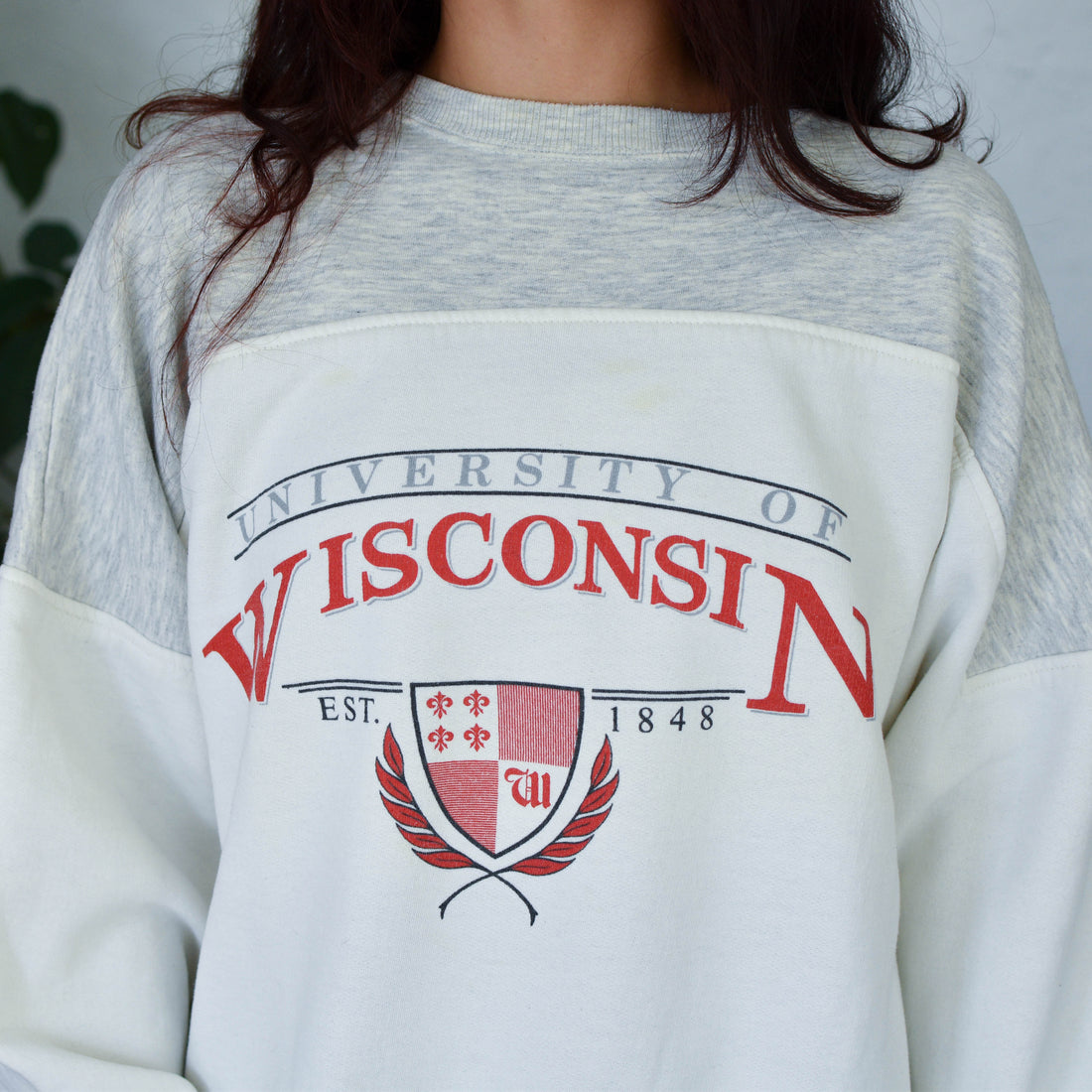 Vintage University of Wisconsin Sweatshirt