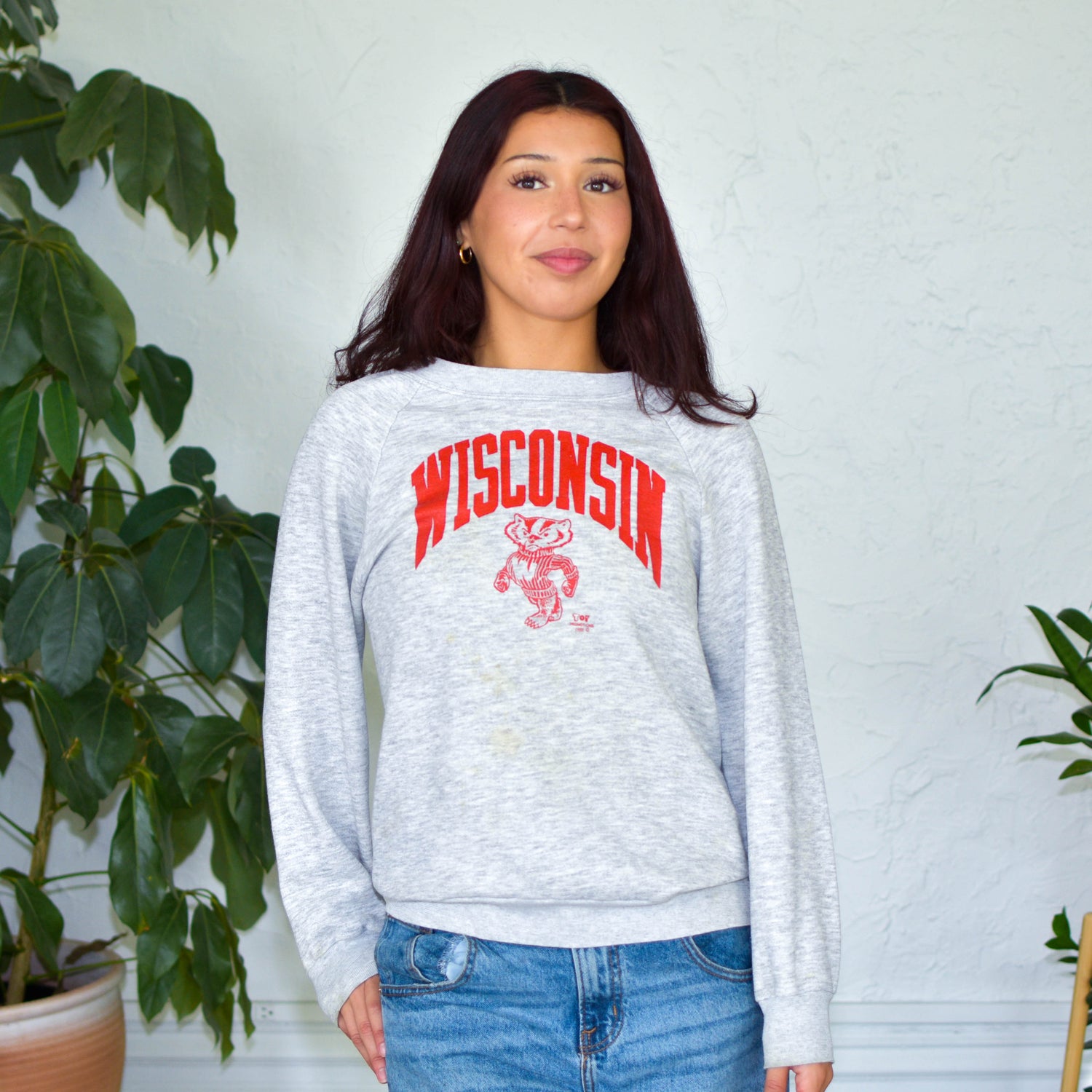 Vintage 80s University of Wisconsin Sweatshirt