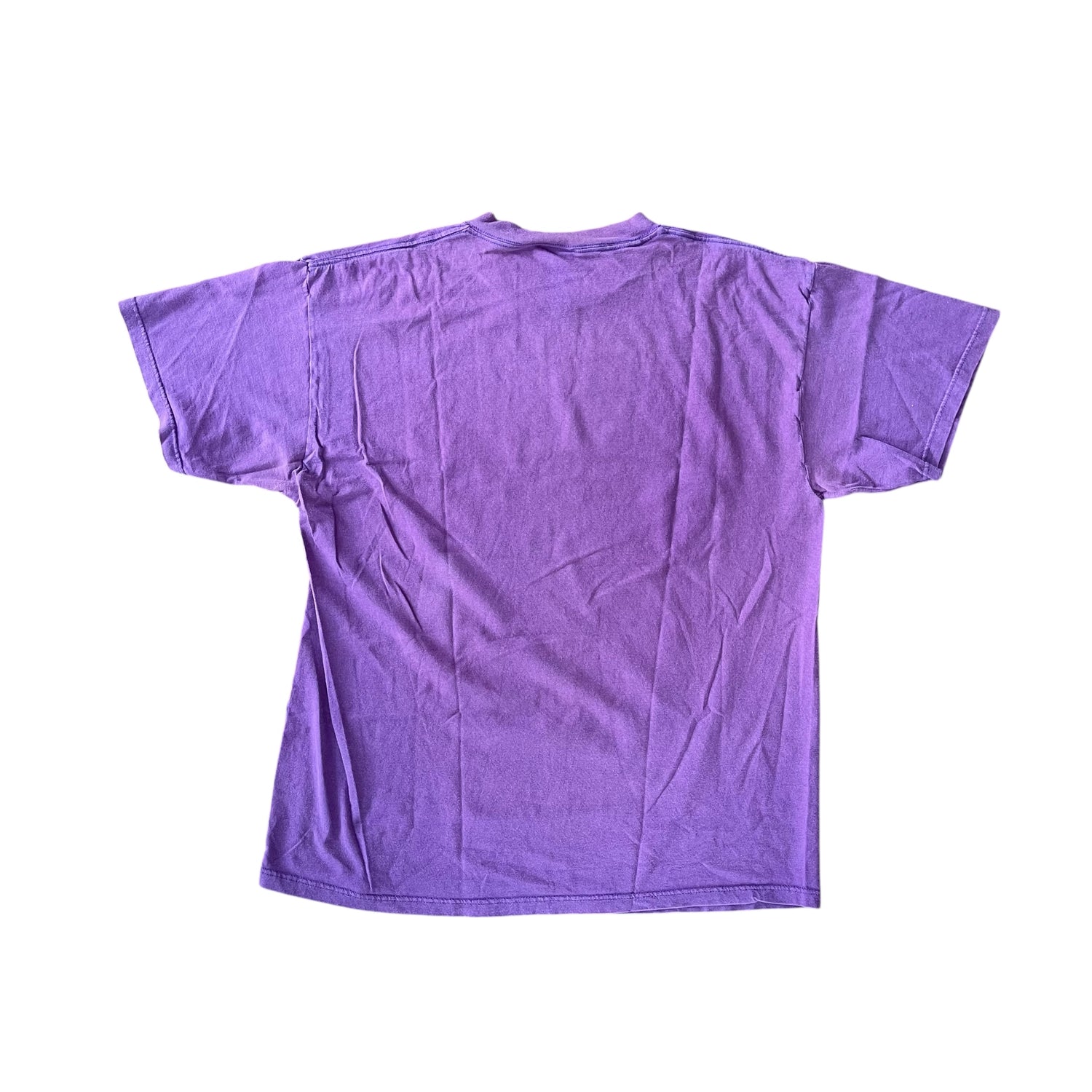 Vintage 1998 Minnesota Vikings Central Division Champions Purple T-Shirt