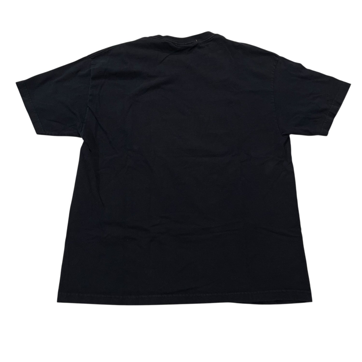 Vintage 2004 Minnesota Twins Graphic T-Shirt