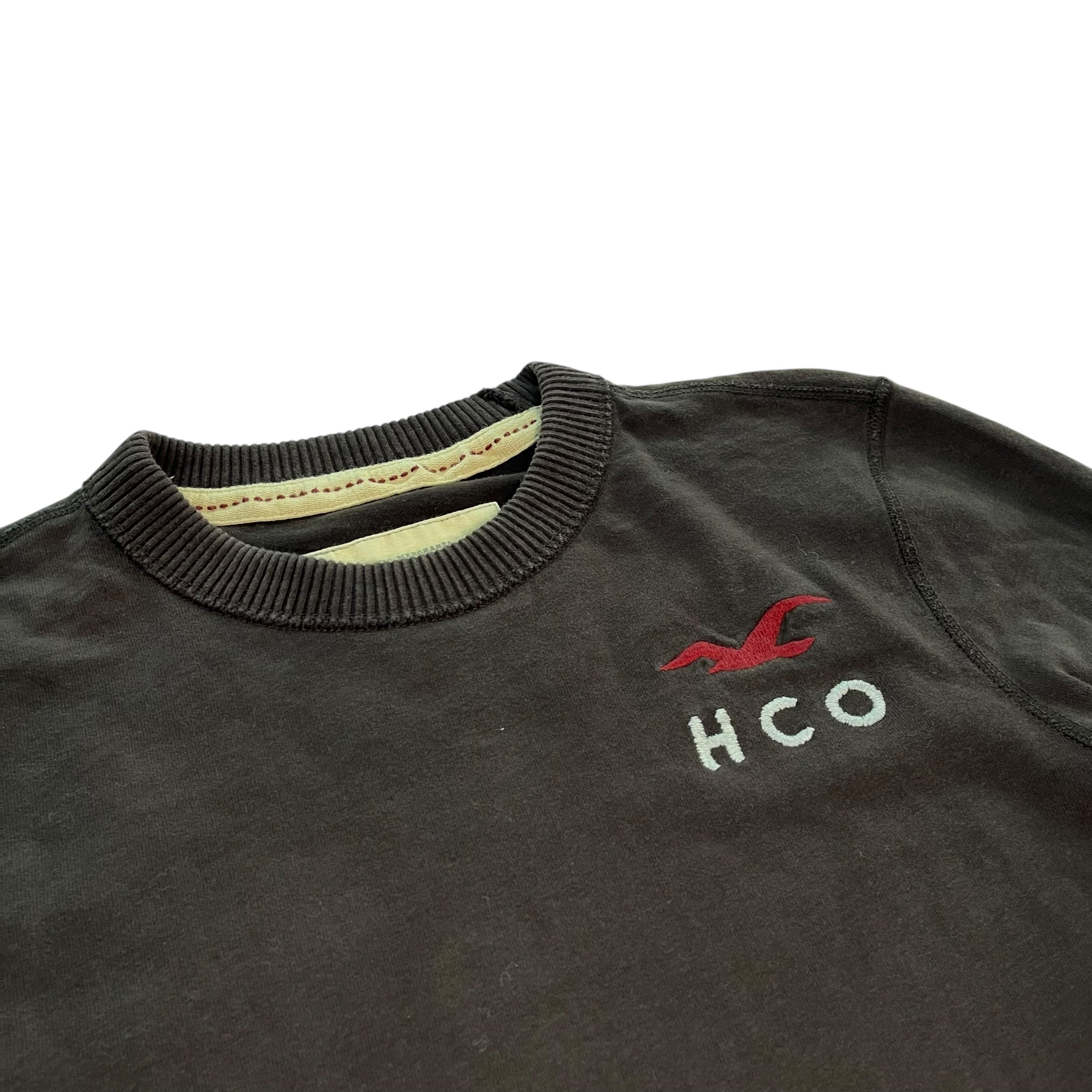 Vintage Hollister Co. Brown Long Sleeve Shirt – Bro Bros Closet