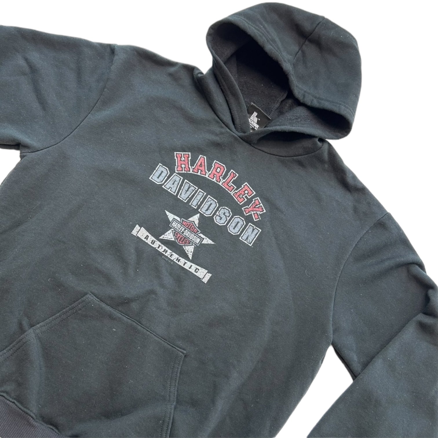 2001 Harley Davidson Logo Hoodie