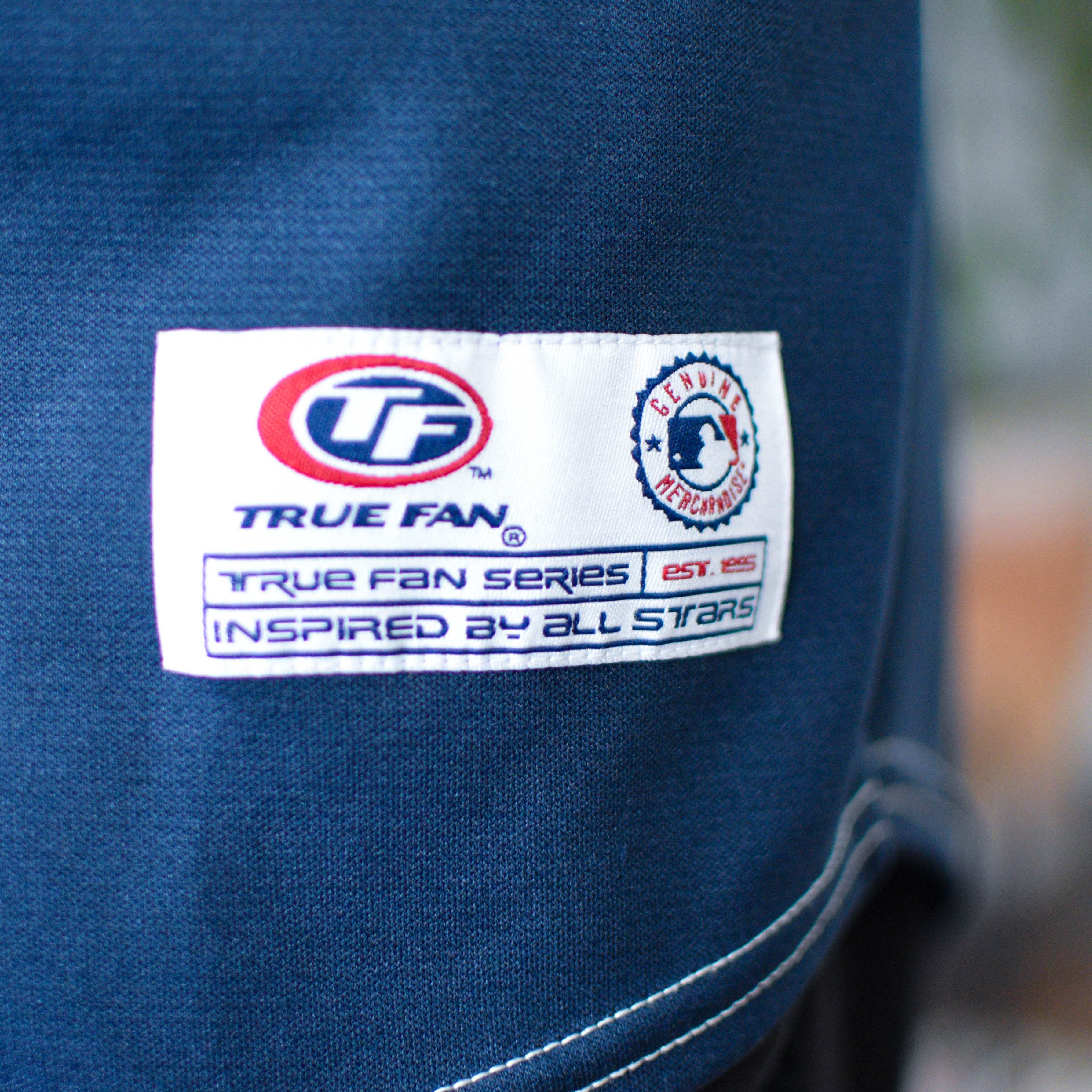 Vintage Minnesota Twins Embroidered Navy Jersey