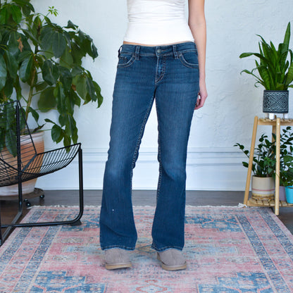 Vintage Silver Jeans Suki Surplus