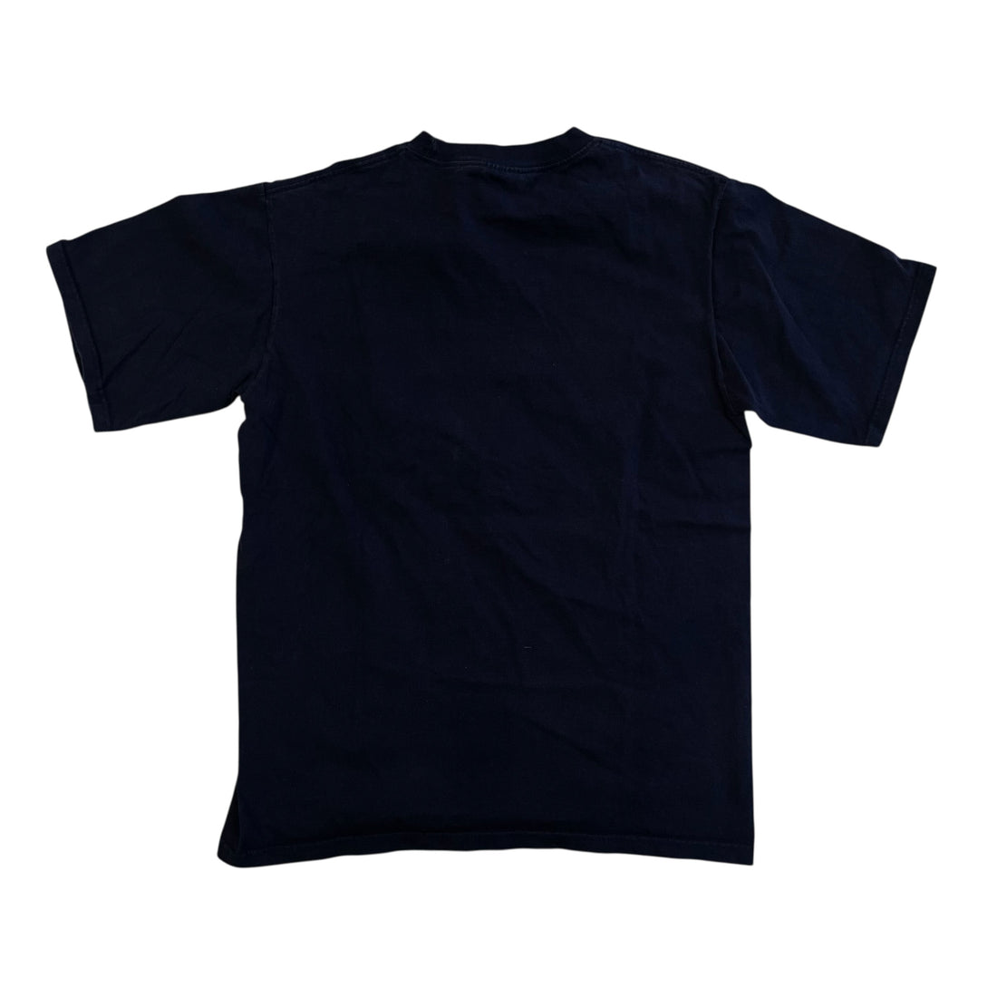 Vintage Minnesota Timberwolves Lee Sport Graphic T-Shirt