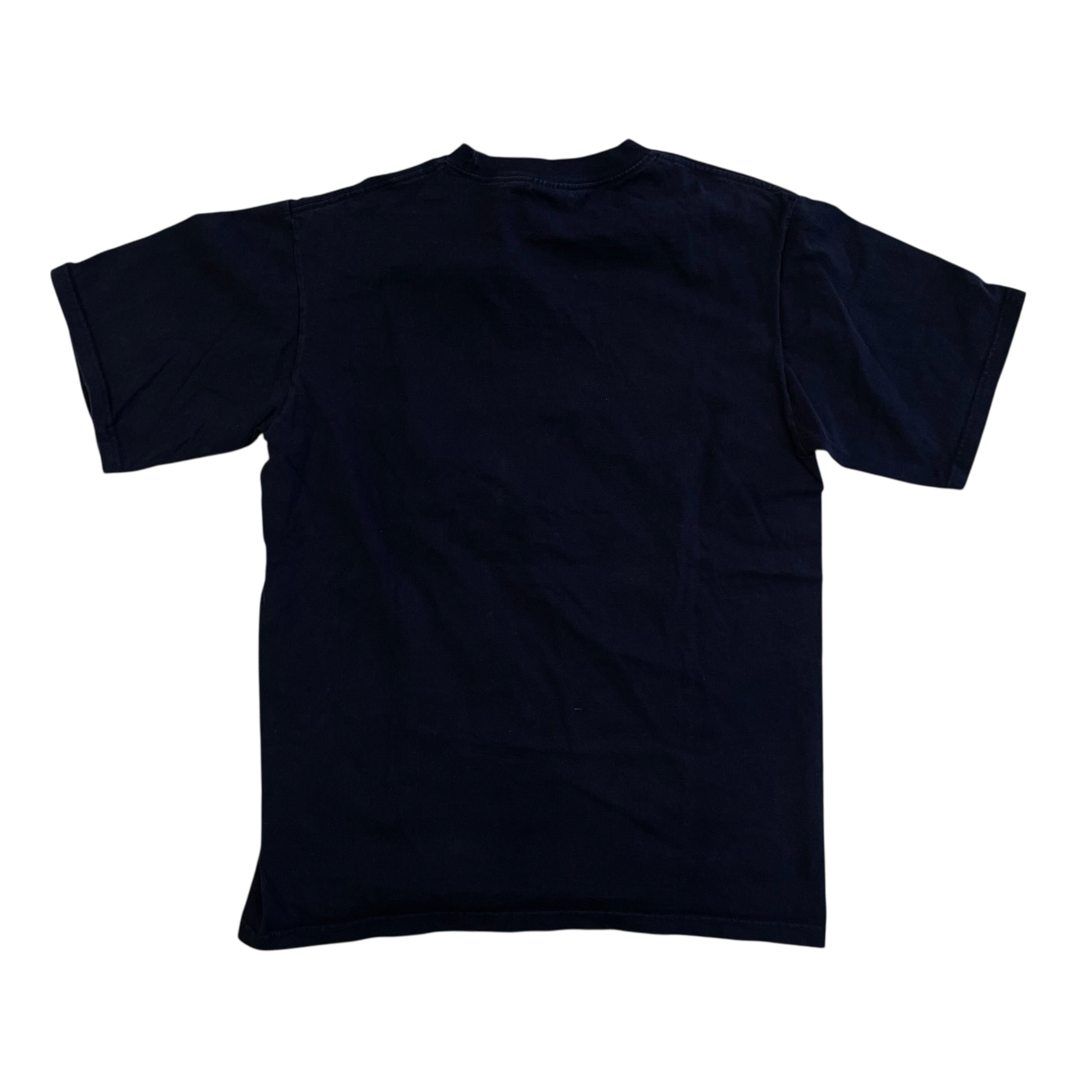 Vintage Minnesota Timberwolves Lee Sport Graphic T-Shirt