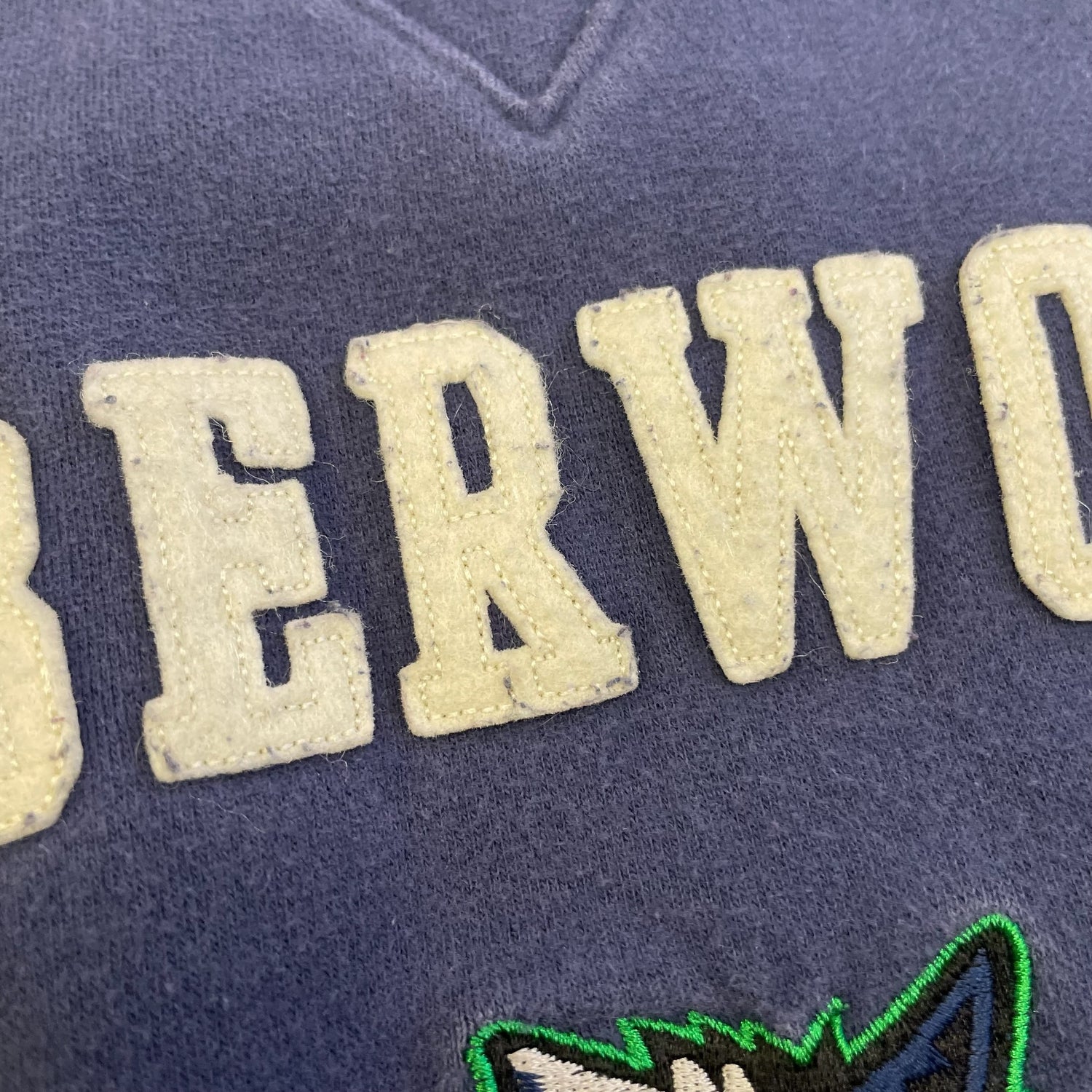Vintage Minnesota Timberwolves Lee Sport Embroidered Sweatshirt
