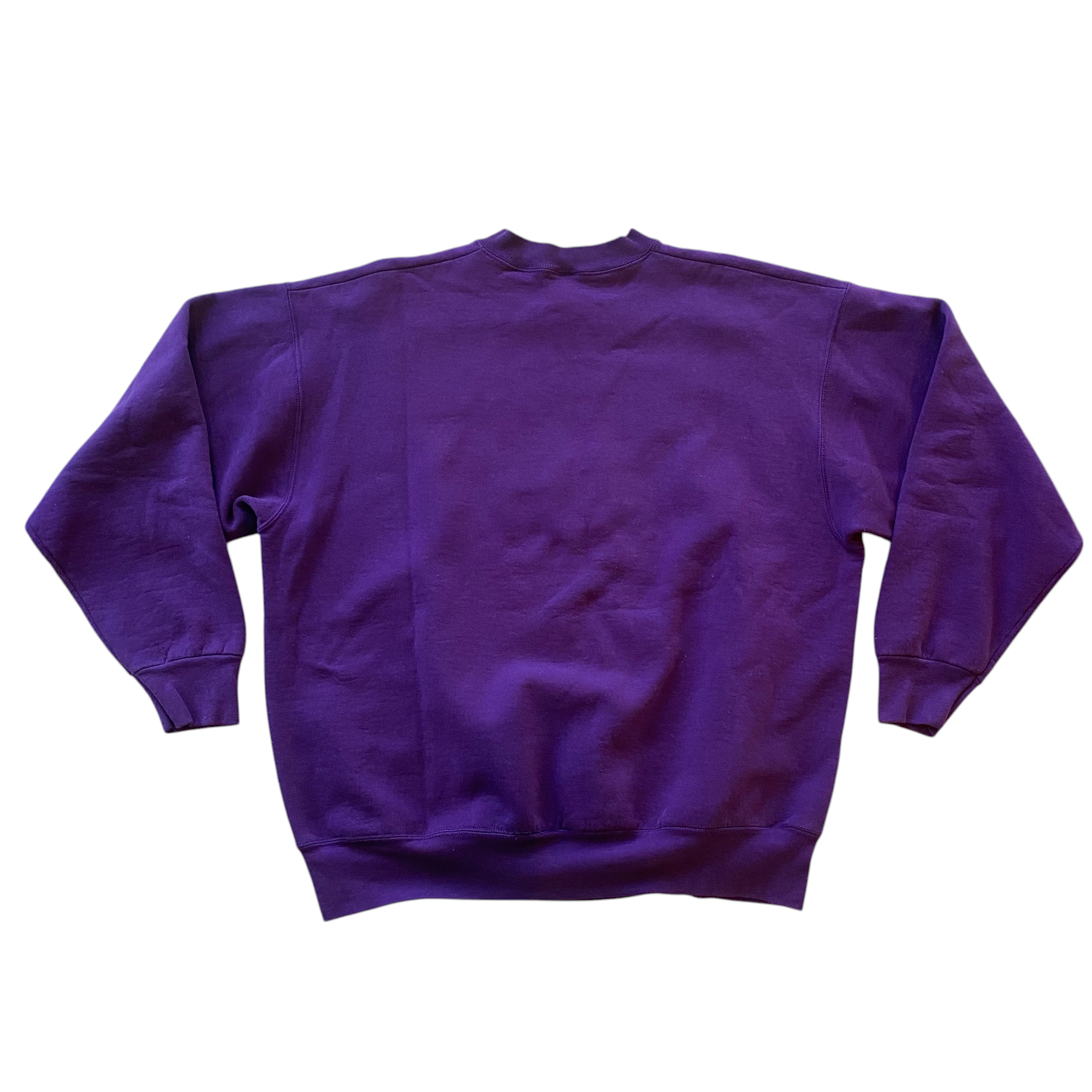 Vintage Minnesota Vikings Embroidered Riddell Crewneck