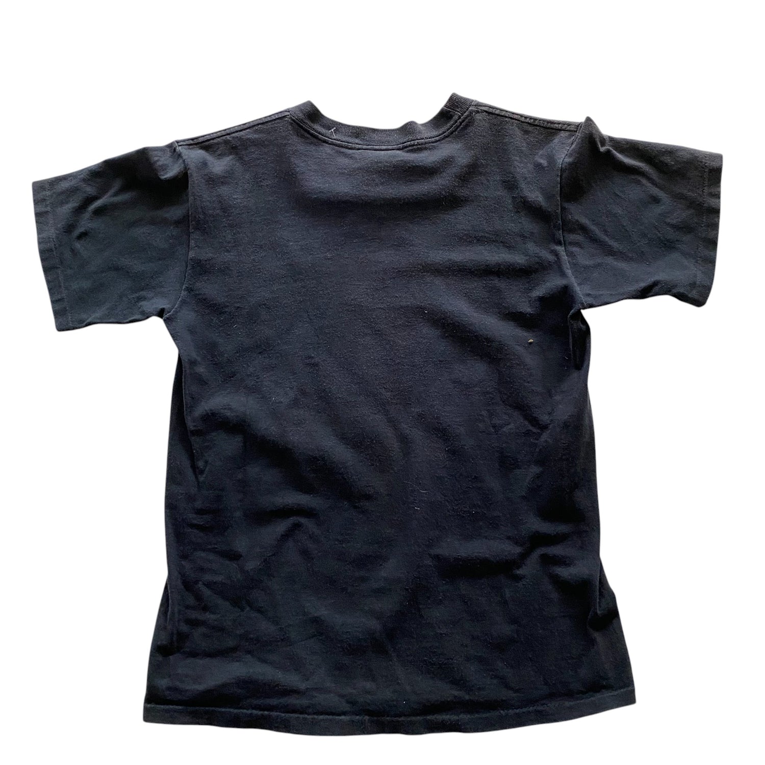1991 Minnesota Twins Champions Black Graphic T-Shirt