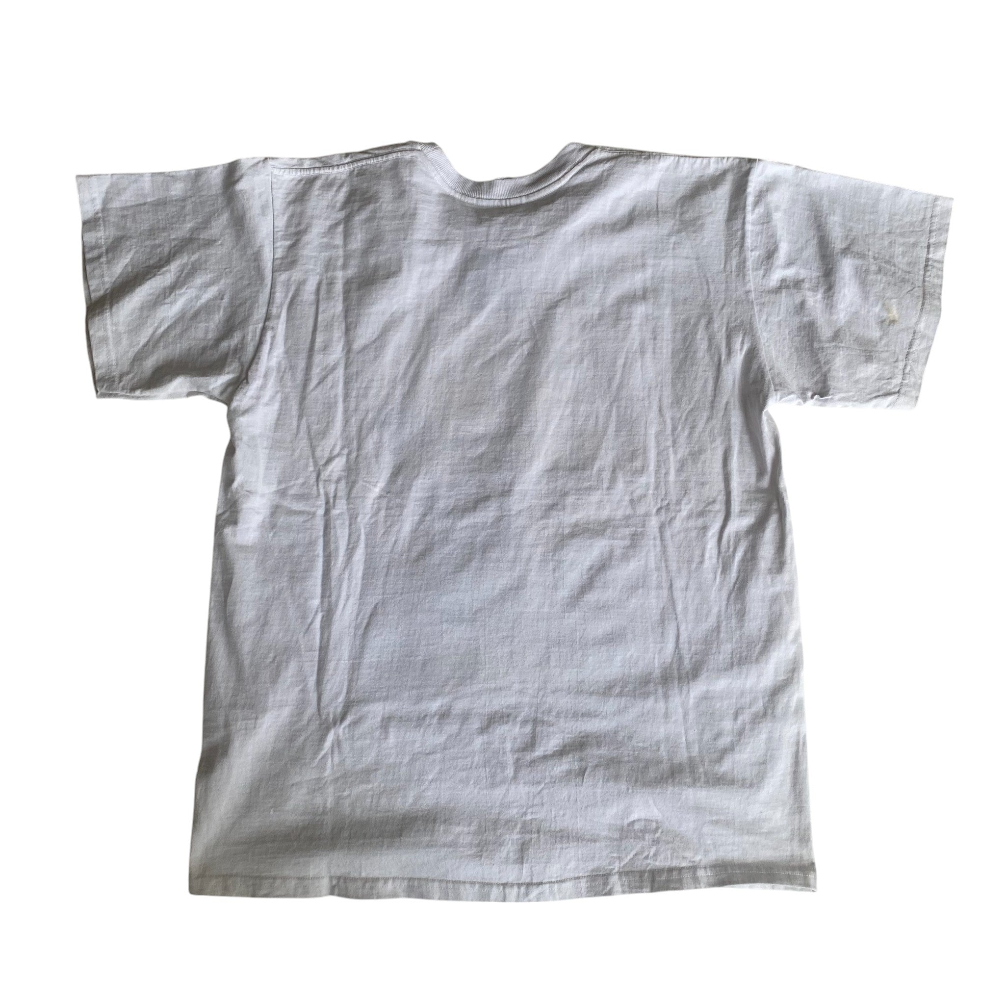 Vintage 2003 Rayados de Monterrey vs Tigres UANL Graphic T-Shirt