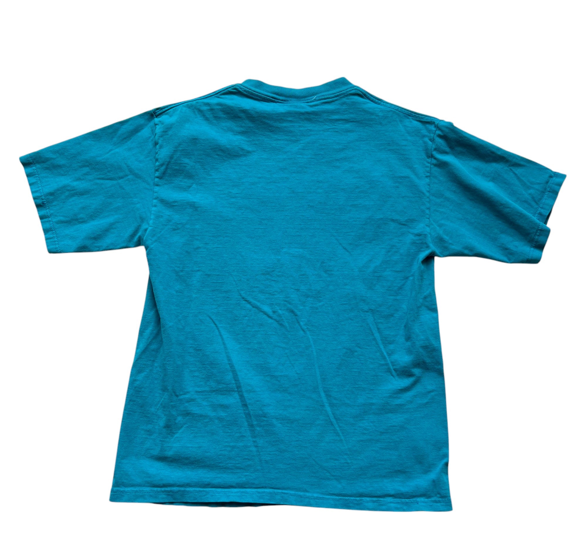 Vintage 90s Charlotte Hornets Graphic T-Shirt