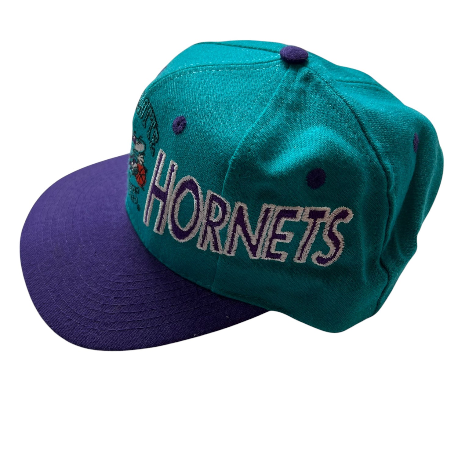 Vintage Charlotte Hornets Embroidered Logo Hat